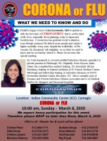 Corona or Fly - What We Need to Know and Do